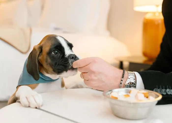 Sofitel Le Scribe Opera