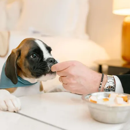 Sofitel Le Scribe Opera Ξενοδοχείο